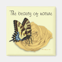 Imanes de la naturaleza