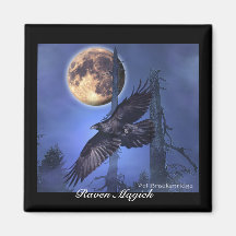 Imanes del CUERVO MAGICK