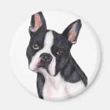 Imanes del retrato de Boston Terrier