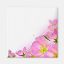 imanes florales