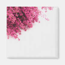 imanes florales