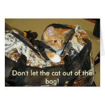 ¡IMG_0129, no dejan el gato fuera del bolso! Felicitaciones
