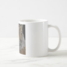 IMG_0334 TAZA DE CAFÉ