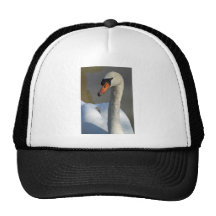 IMG_2993 copy.jpg Gorra