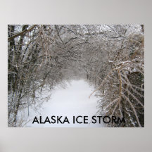 IMG_4410,    TORMENTA DE HIELO DE ALASKA POSTER