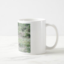 IMG_5073_edited Taza De Café