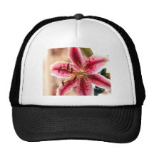 IMG_5340 Lilly 5 23 09 re Gorra