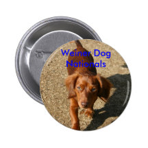 IMG_5816, nacionales del perro de Weiner Pins