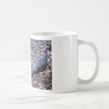 IMG_6353_edited Tazas