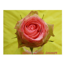 Immer de Alles Liebe Tarjeta Postal