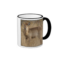 Impala surafricano taza