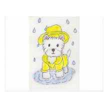 IMPERMEABLE QUE LLEVA DE WESTIE POSTAL