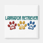Impresión 1 de la pata de la mamá del LABRADOR RET Iman