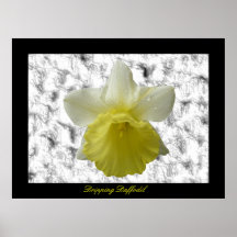 Impresión adaptable de Daffoldil del goteo Poster