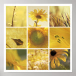 impresión amarilla de la fotografía de la naturale posters