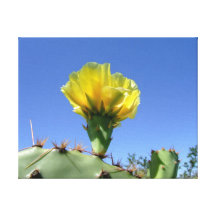 Impresión amarilla de la lona de la flor del cactu lona estirada galerias