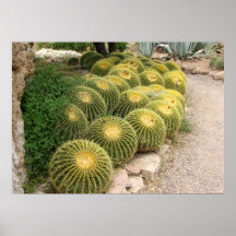 impresión amarilla del cactus de barril impresiones