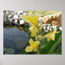 Impresión amarilla del poster de la flor del lirio
