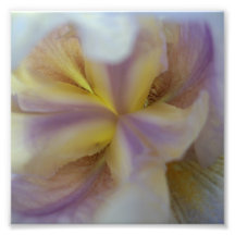 Impresión amarilla del resplandor - serie abstract fotografias