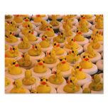 Impresión amarilla divertida de los patos 10x8 del impresión fotográfica