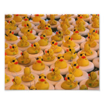 Impresión amarilla divertida de los patos 10x8 del impresión fotográfica