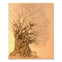 Impresión antigua del arte del dibujo del roble foto