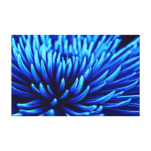 Impresión azul de la lona de la flor del crisantem impresión en lona estirada