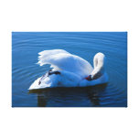 Impresión azul de la lona del cisne lona estirada galerías
