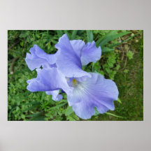 Impresión Azul-Violeta del poster del iris