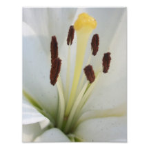 Impresión blanca de la maravilla - serie abstracta fotografia