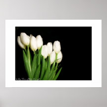 Impresión blanca de los tulipanes impresiones