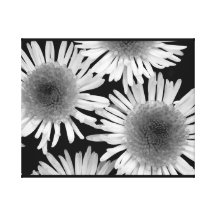 Impresión blanco y negro magnífica de la dalia impresion de lienzo