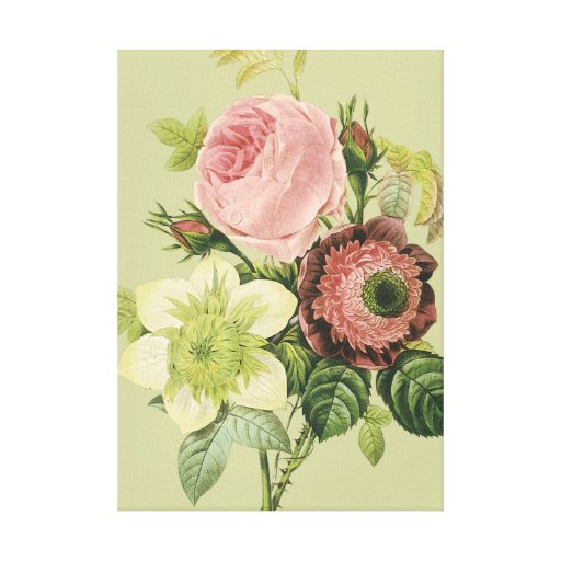 Impresión botánica de la bella arte del vintage impresiones en lona estiradas