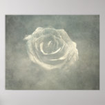 Impresión color de rosa sombría del arte posters
