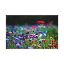 Impresión colorida de la lona de los Wildflowers d Lona Envuelta Para Galerías
