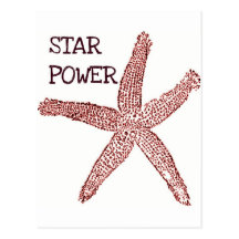 Impresión coralina de las estrellas de mar del vin postal