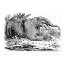 Impresión de la antigüedad de Dinotherium Tarjetas Postales
