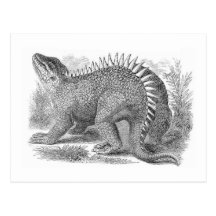 Impresión de la antigüedad de Hyleosaurus Tarjetas Postales
