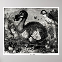 Impresión de la antigüedad del Dodo Impresiones