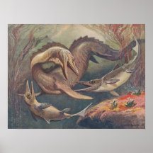 Impresión de la antigüedad del Ichthyosaurus de Mo Impresiones