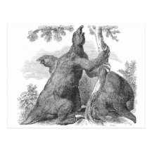 Impresión de la antigüedad del Megatherium Tarjetas Postales