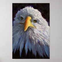 Impresión de la bella arte de Eagle calvo Poster