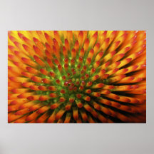 Impresión de la bella arte de las pastillas de car poster