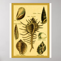 Impresión de la bella arte del vintage del ~ de la poster