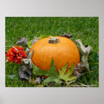 Impresión de la calabaza impresiones