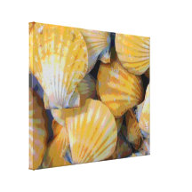 Impresión de la lona de arte de los Seashells de l Lona Envuelta Para Galerias