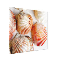 Impresión de la lona de arte de los Seashells de l Impresiones En Lienzo Estiradas