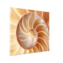 Impresión de la lona de arte de Shell del nautilus Lona Envuelta Para Galerias