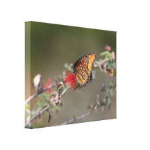 Impresión de la lona de la mariposa impresiones en lona