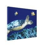 Impresión de la lona de la tortuga de mar de la vi lona envuelta para galerias